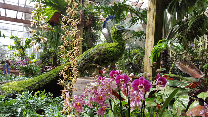 Atlanta Botanicalgarden2