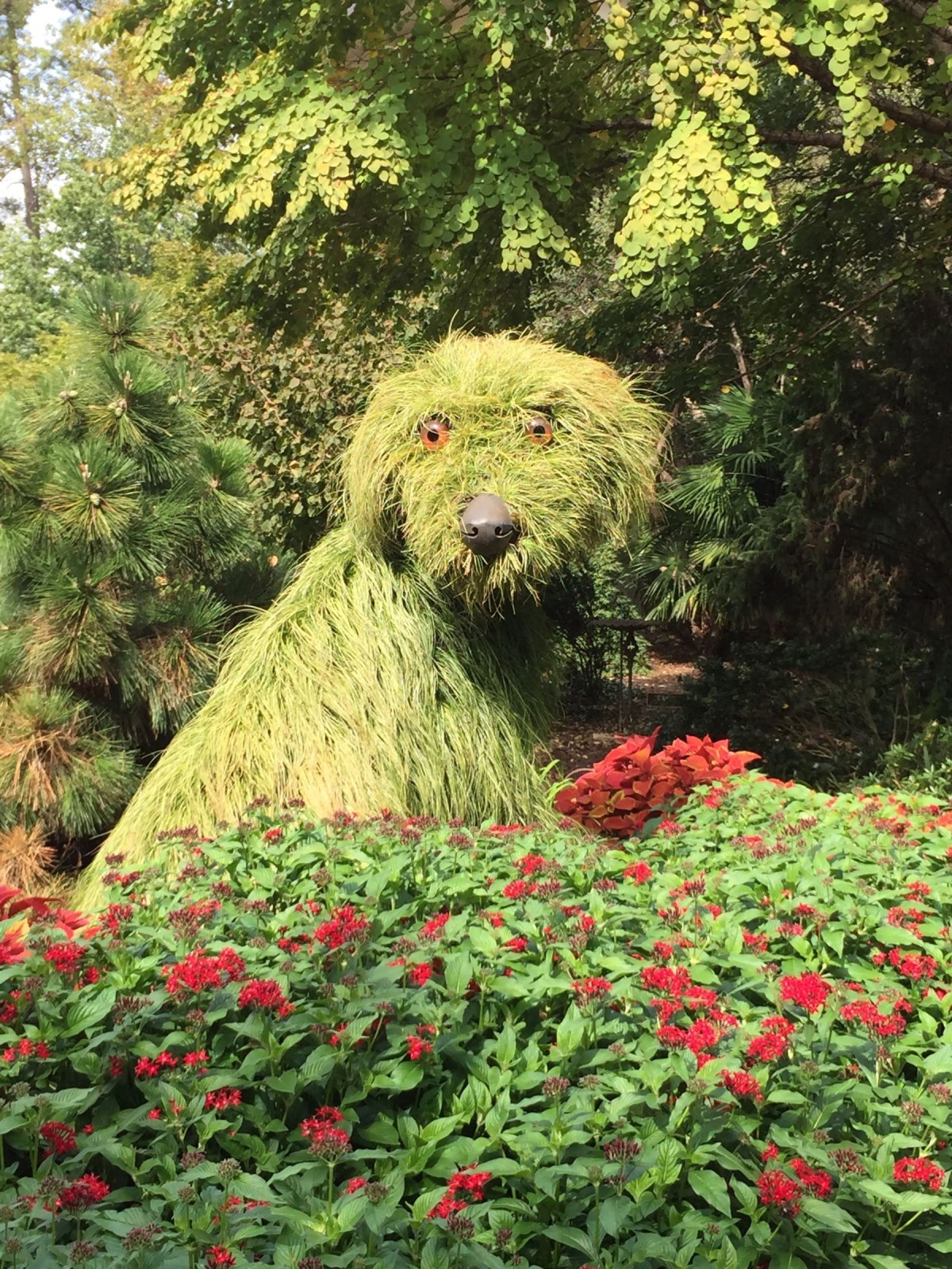 atlanta botanical garden x2