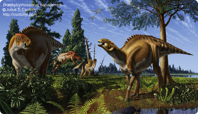 Csotonyi Paleo4