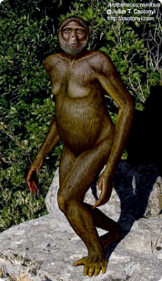 Csotonyi Paleo7