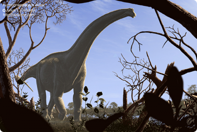 Csotonyi Paleo8