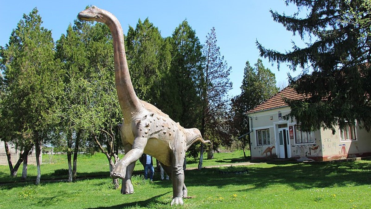 Magyarosaurus dacus Hatszeg